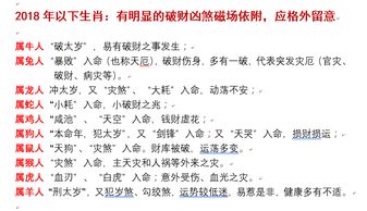 功能层面的综合阐释