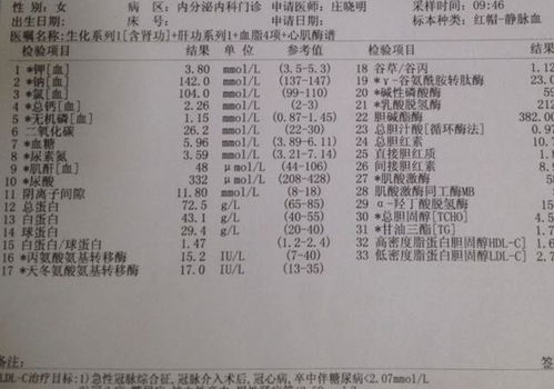 探究报告：1997年6月26日诞生者的年龄与命运探析