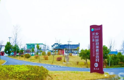 巢湖到底是个什么鬼地方