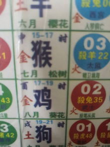 未生肖代表哪个数字？未属相对应的数字是什么？