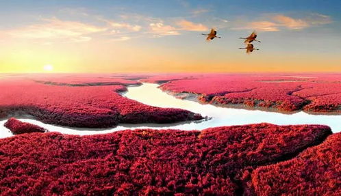 叫这名字的都是啥人？