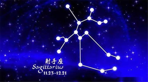 (一) 职业与事业层面的展望