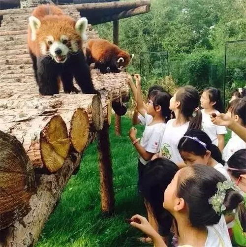 游玩项目推荐（请Zuo好心理准备）