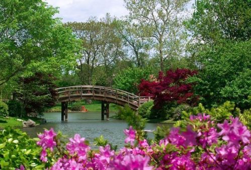 第三节 绿化景观与阴阳调和