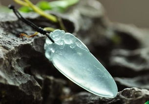 蜻蜓进屋象征什么寓意？十大吉兆是哪些？