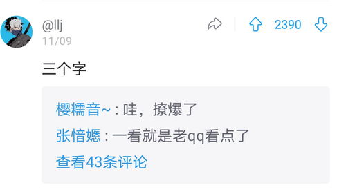 第一章：生肖星座与风水元素在昵称构建中的文化隐喻