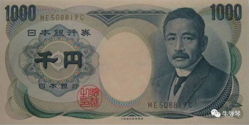 乙丑日偏财格八字，乙丑月是否适合改命或调整运势？