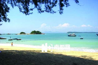 震惊！深圳南澳沙滩2026年黄历预警！这些星座去了要倒大霉！