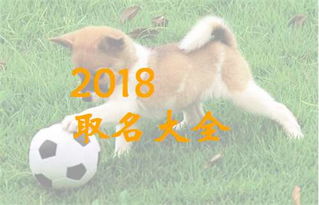 2026年马年出生的女宝宝，姓康，姓徐叶的狗宝宝，有哪些好听的名字推荐？