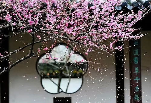 实现岁月静好、 稳如泰山的生活态度