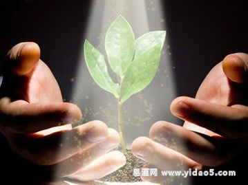 2.3 具体物质形式下之预测含义