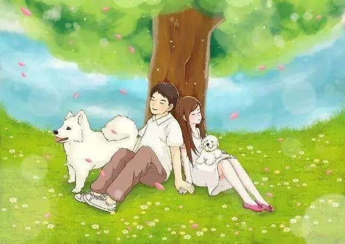 属鸡女2026年婚姻感情如何，那一年是最佳结婚时间吗？