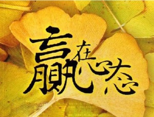 毕淑敏文献手记报告：对汶川地震后心灵创伤的反思