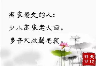 三、 生肖星座视角下的情感映射