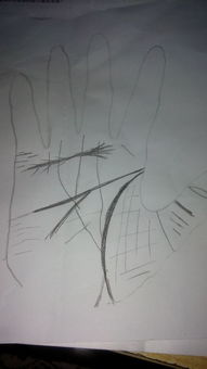 一、  中指形态与气运的关联性分析