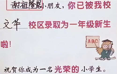 谐音梗的风险与挑战