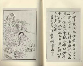 3. 《红楼梦》——人性的镜鉴