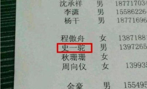 现代简约：短小精悍易记