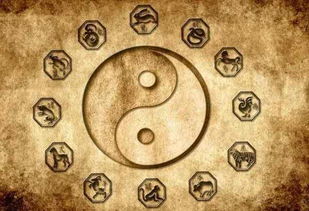 金水大运的具体构成与五行属性分析