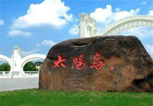 美食荒漠生存指南