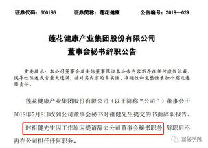 基于八字分析的发展策略制定