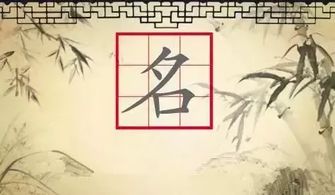 ：祖先的呼唤与名字的重量