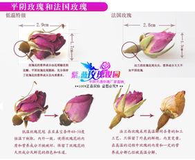 二、 80℃水温对玫瑰花茶品质与生态作用于的双沉重意义