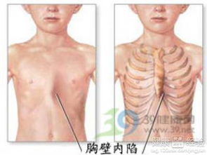 诊断方法——查找并解读个人骨相的操作步骤