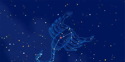 天蝎座 - 神秘的控制狂