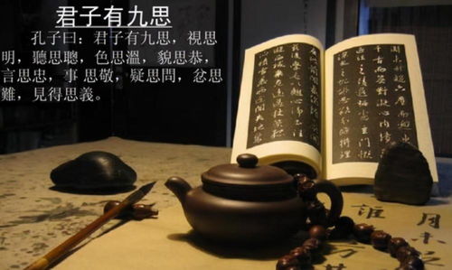 二、 较高阳血脉传承过程中的命名演变逻辑剖析