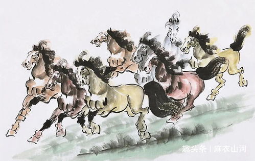 案例分析：属马与属兔的和谐组合