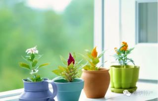 东方：事业发展的催化剂