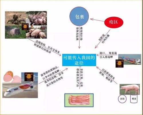 2.2 其他内分泌及代谢病症关联