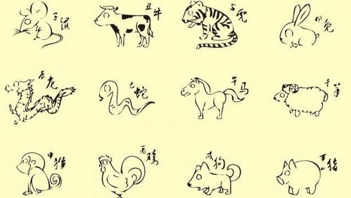 2026年正月十五吉日适合哪些生肖女性？2026年哪个生肖拥有最多吉星？