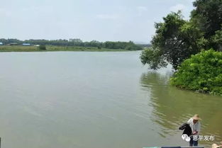 三、 水塘风水调整策略之多维度探讨