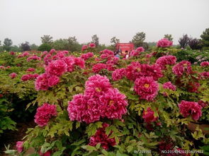 交通方式大吐槽