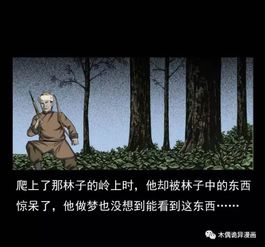 实证记录：午夜钟声与森林哭泣的复合现象