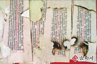 二、 古籍记载中的复活记录：从周灵王墓殉女到晋代杜家丫鬟