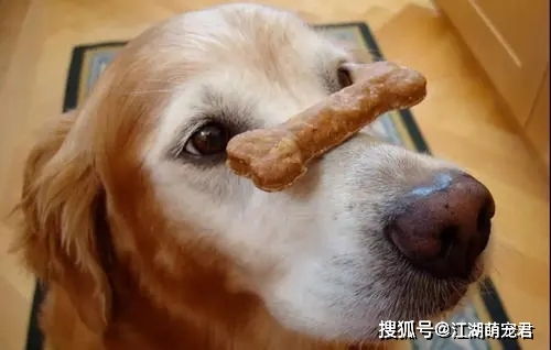 创意组合：打造独一无二的名字