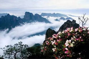 金秀瑶山的风水到底好不好，有没有什么忒别的传说或故事？