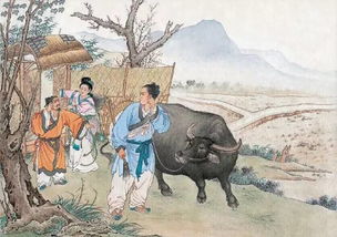 一、 王母玉帝对牛郎态度之谜：权力结构中的异常现象
