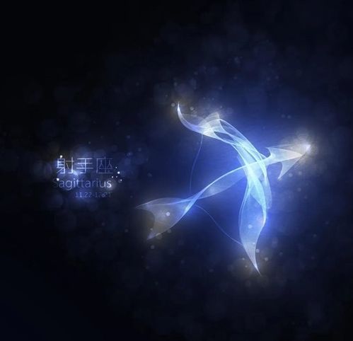 射手座灵魂伴侣是哪个星座男？揭秘射手座的贵人星座！