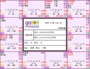 (2) 情绪反馈失调现象探究