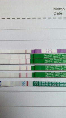 1. 排卵试纸的准确性