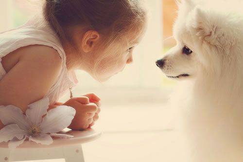 属虎的孩子：奔放激昂的节奏