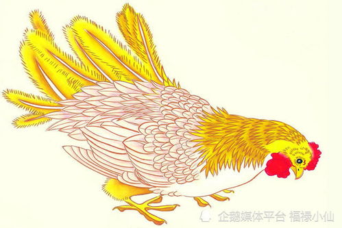 一、 生肖鸡：大胆表达与桃花星照耀的协同效应