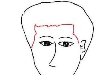 四、 耳相与面部整体特征的协同效应：综合运势的全面考量