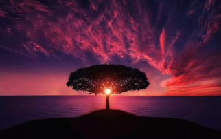 居住环境风水对运势的潜在影响