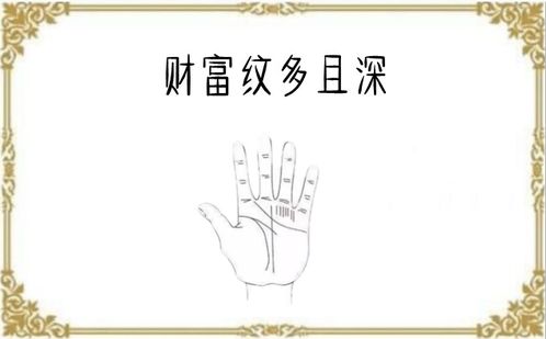 算命的说我有财富，免费准确算命能看我的财富运势吗？