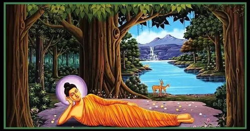 二、 修行实际操作中的障碍转化机制